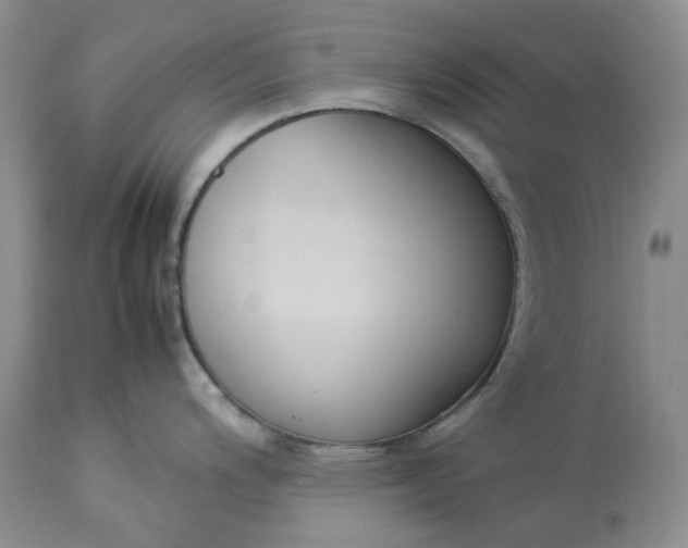 X0000113351200200909291047