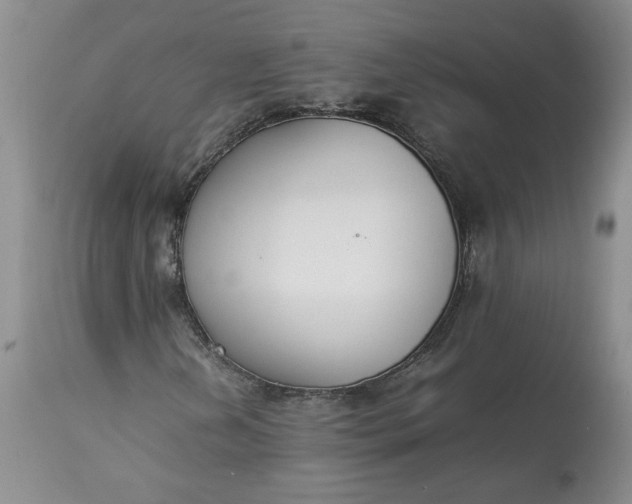 X0000113351202200909291046