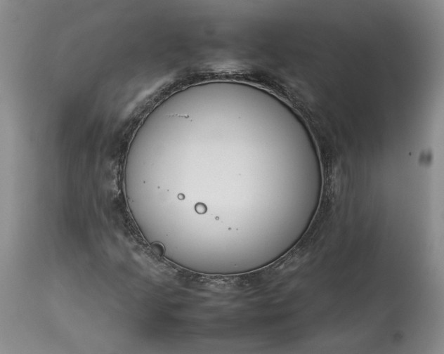 X0000113351205200909291046