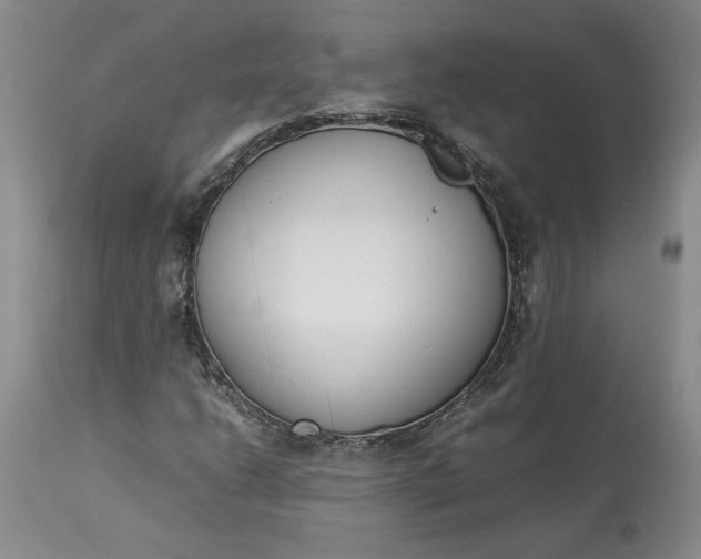 X0000113351206200909291046