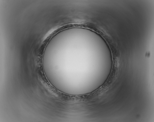 X0000113351208200909291046