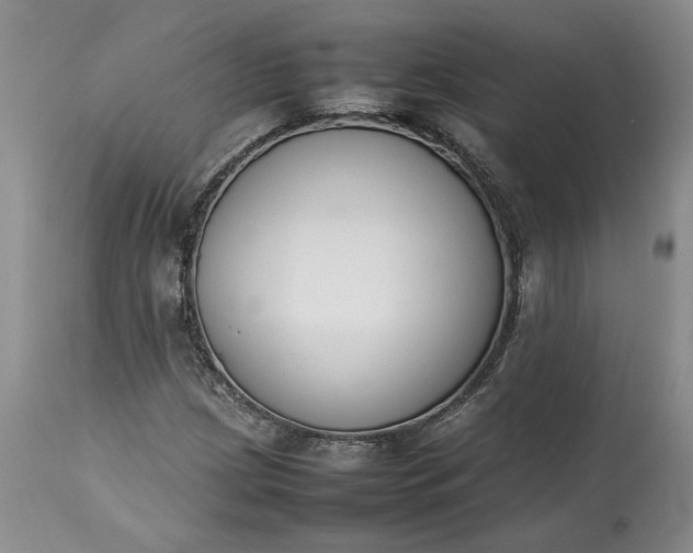 X0000113351209200909291046