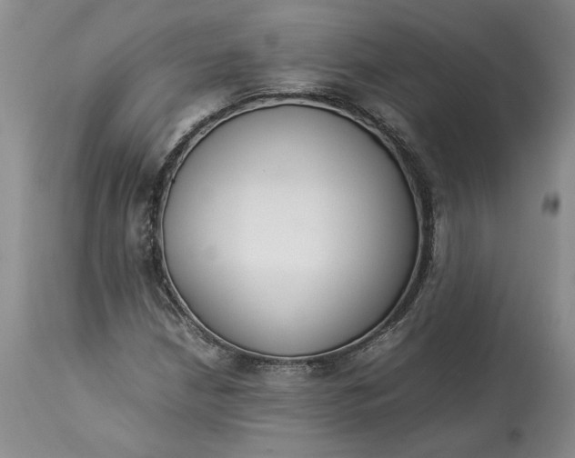 X0000113351210200909291046