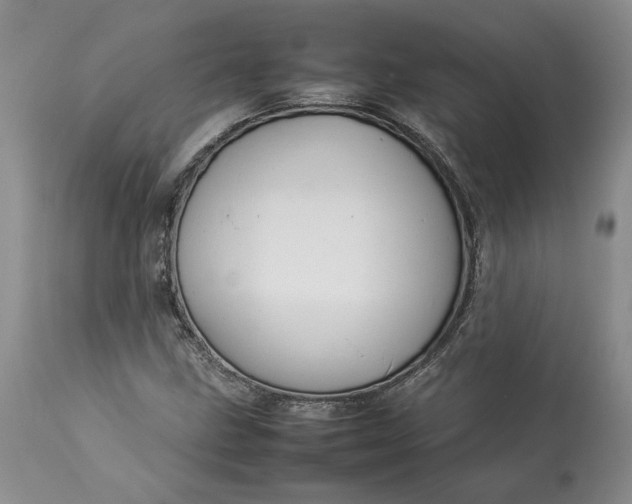 X0000113351211200909291046