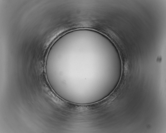 X0000113351212200909291046