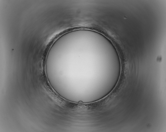 X0000113351214200909291046