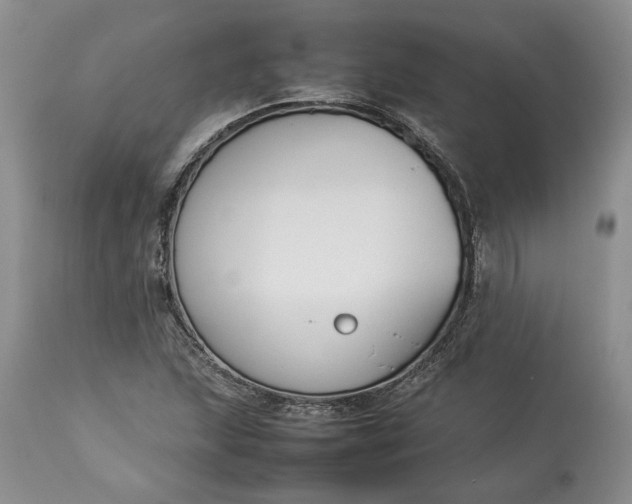 X0000113351215200909291046