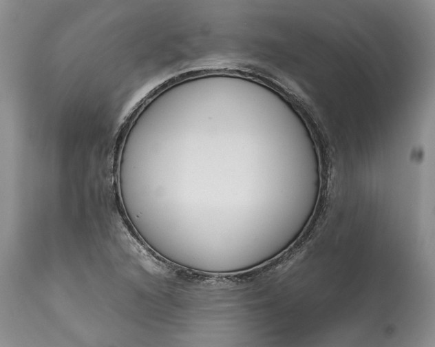 X0000113351216200909291046