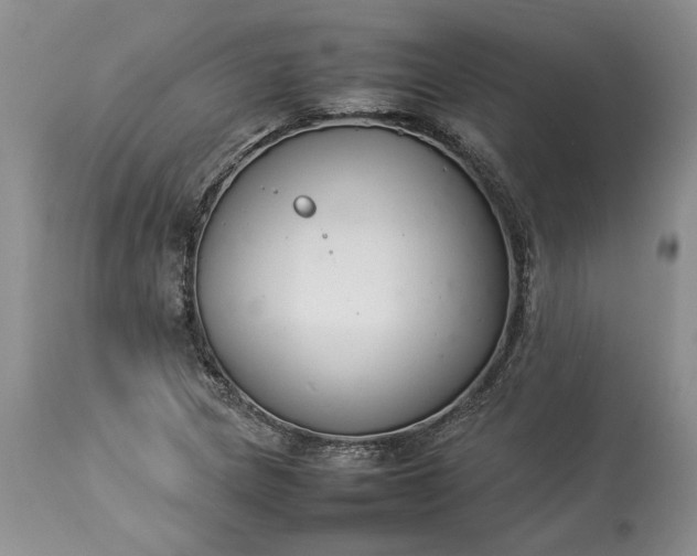 X0000113351217200909291046
