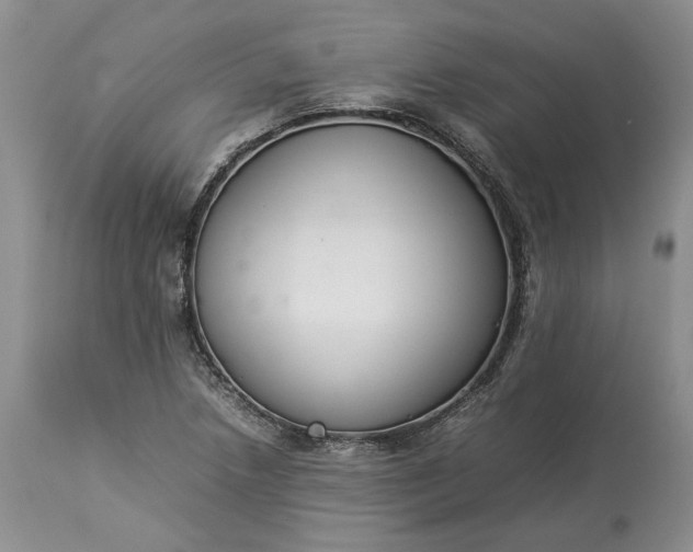 X0000113351218200909291046