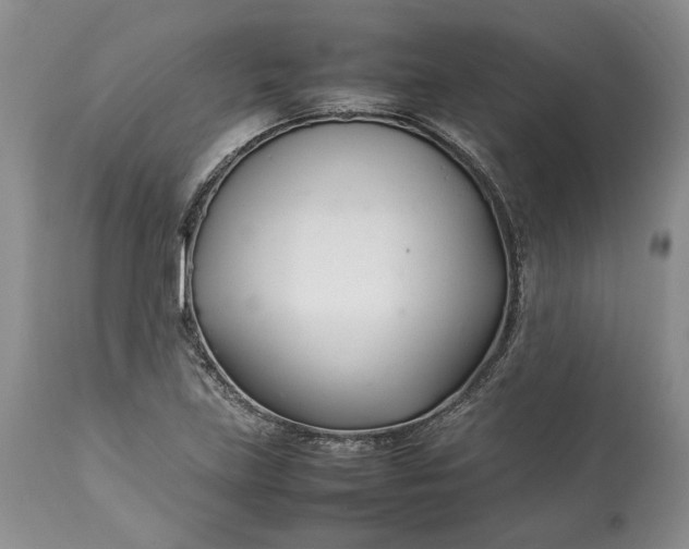 X0000113351219200909291046