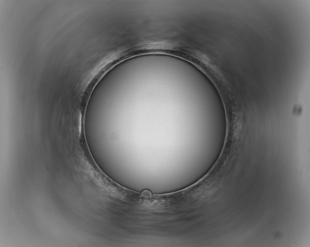 X0000113351221200909291046
