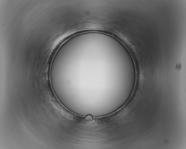 X0000113351222200909291046