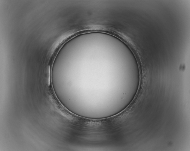 X0000113351223200909291046