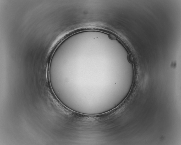 X0000113351224200909291046