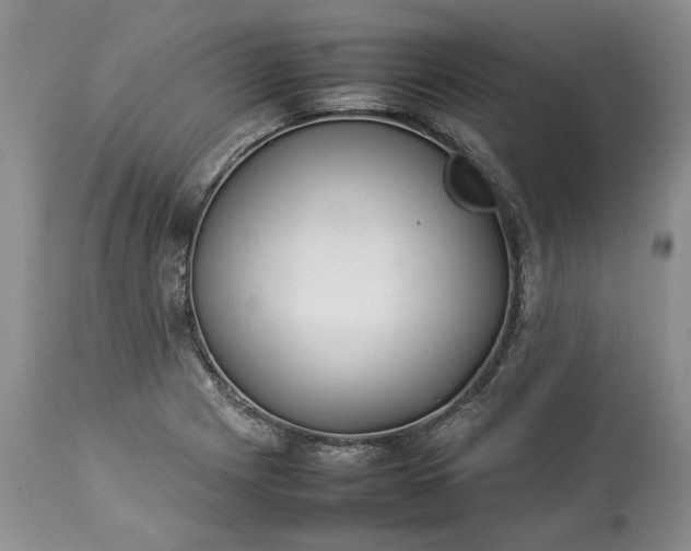 X0000113351225200909291046
