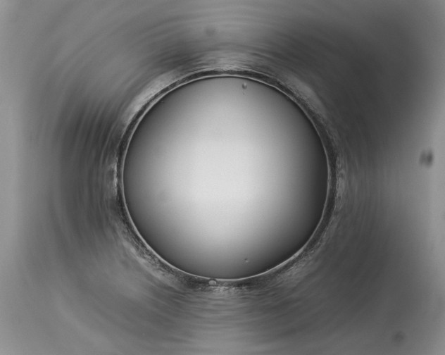 X0000113351226200909291046