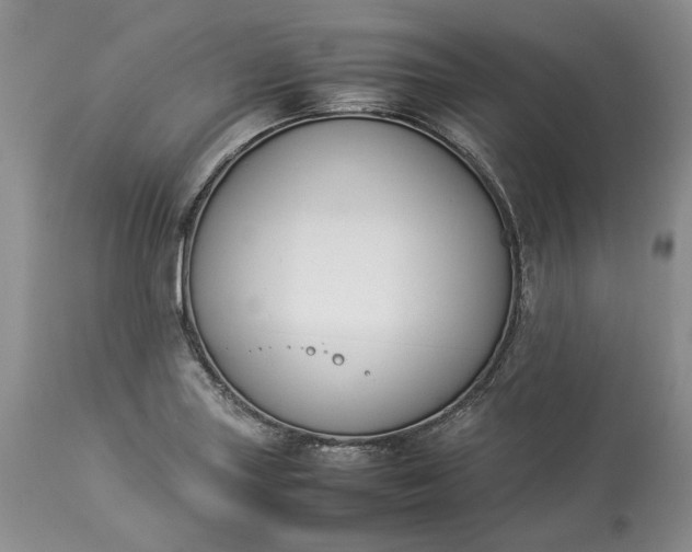 X0000113351227200909291046