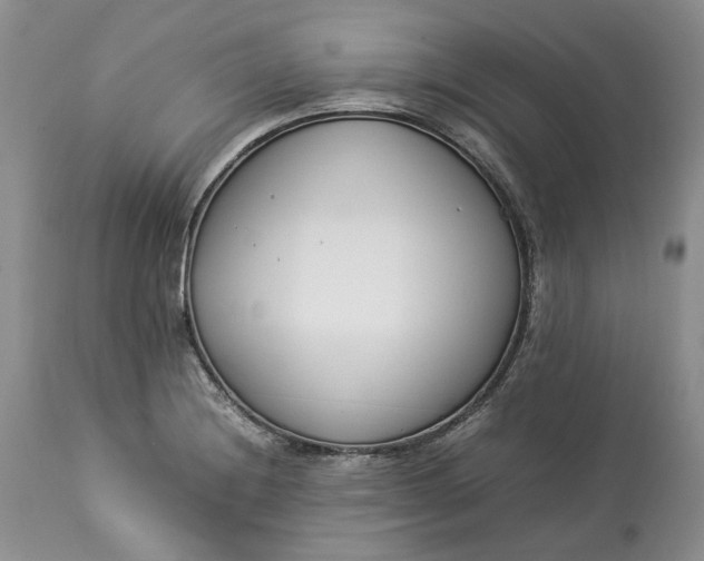 X0000113351228200909291046