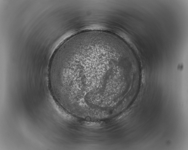 X0000113351229200909291046