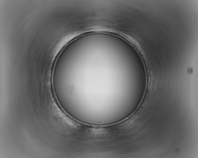 X0000113351231200909291046