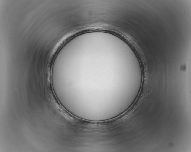 X0000113351232200909291046