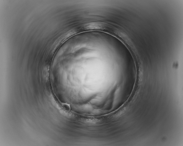 X0000113351233200909291046