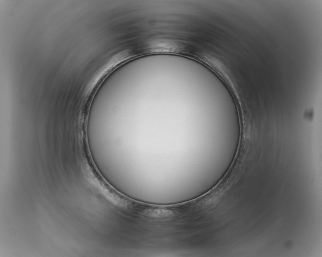 X0000113351235200909291046