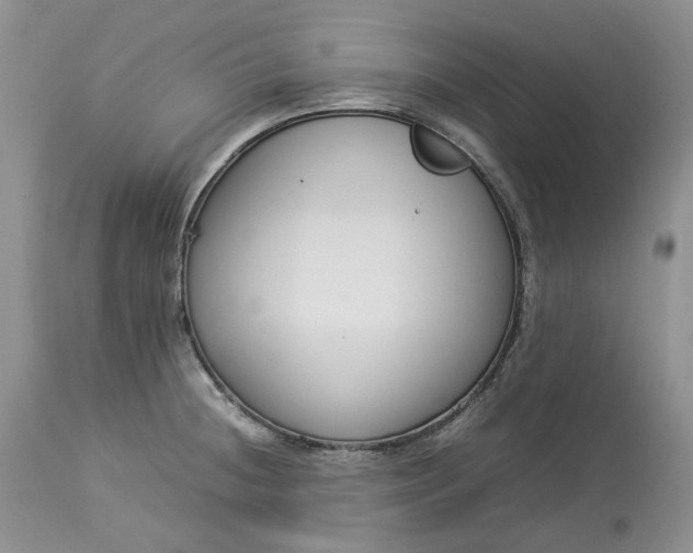 X0000113351236200909291046