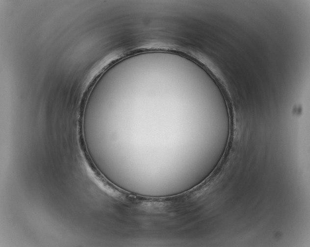 X0000113351237200909291047