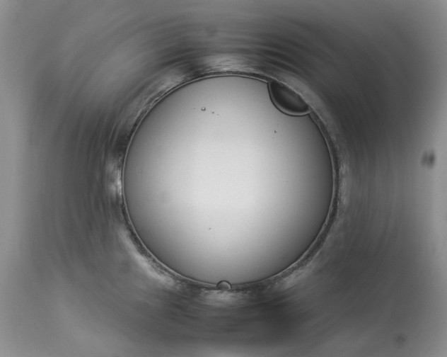 X0000113351241200909291047