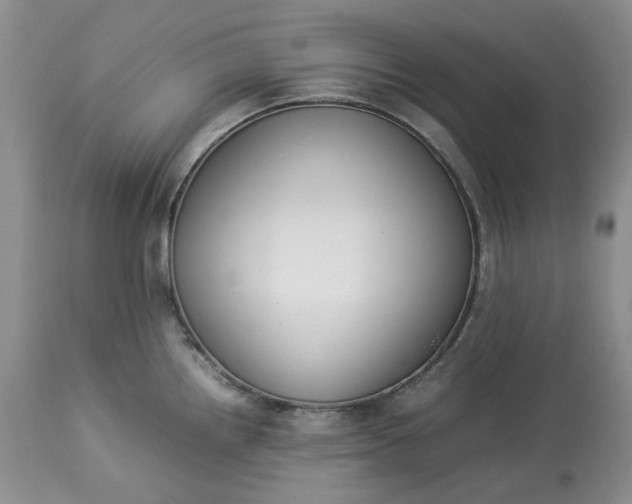 X0000113351242200909291047