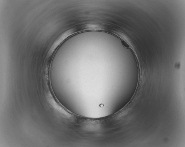 X0000113351243200909291047