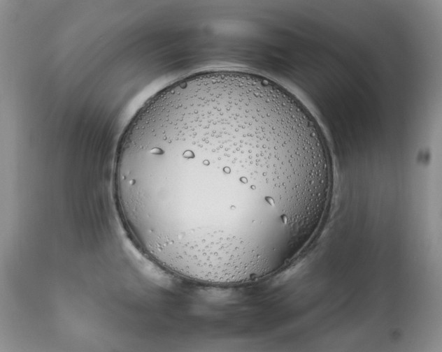 X0000113351245200909291047