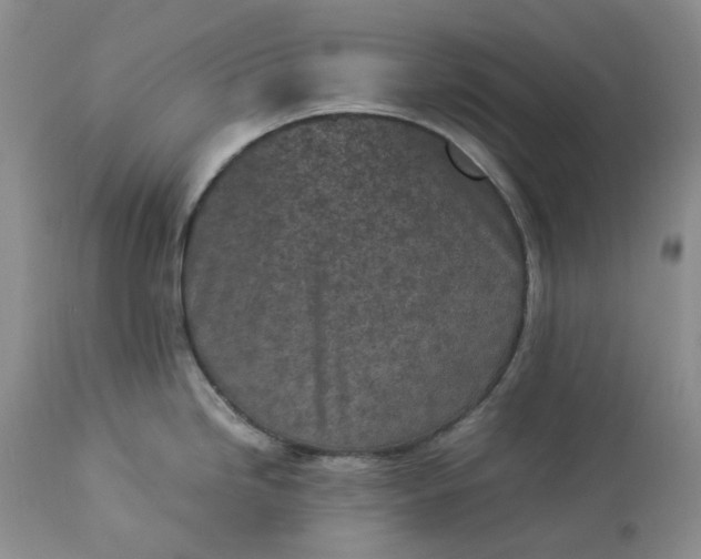 X0000113351246200909291047