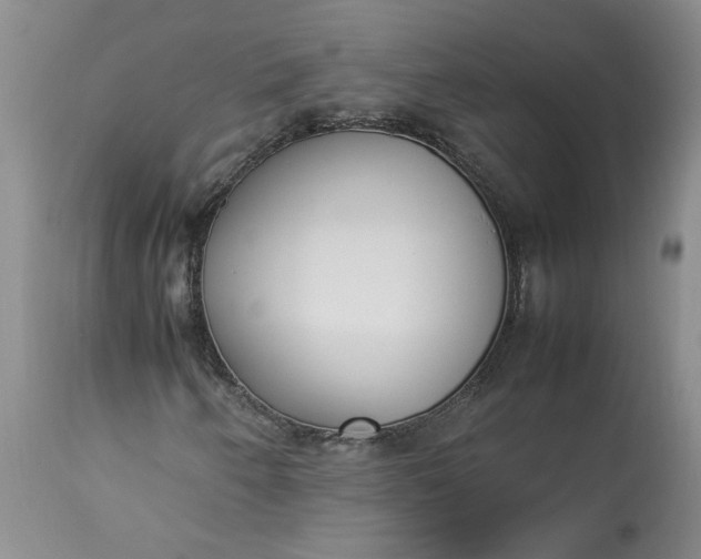 X0000113351250200909291046