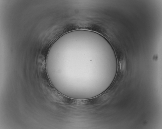 X0000113351251200909291046