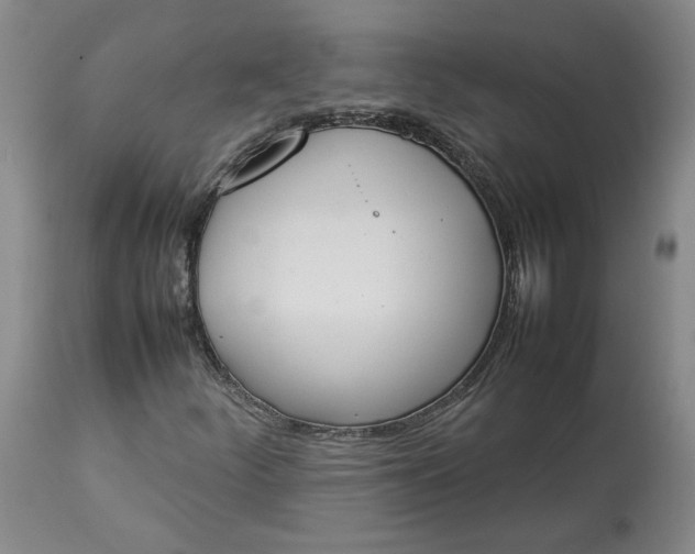 X0000113351252200909291046