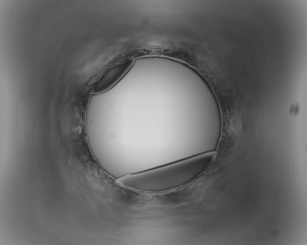 X0000113351253200909291046