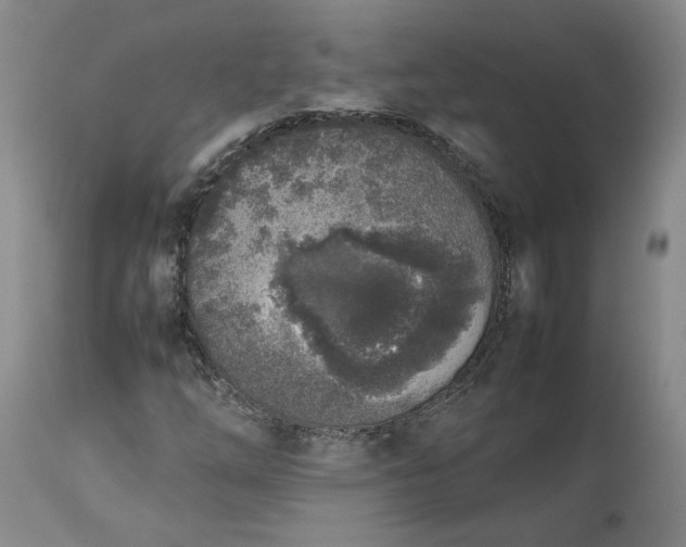 X0000113351254200909291046
