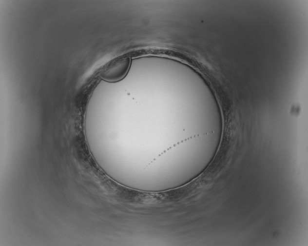 X0000113351255200909291046