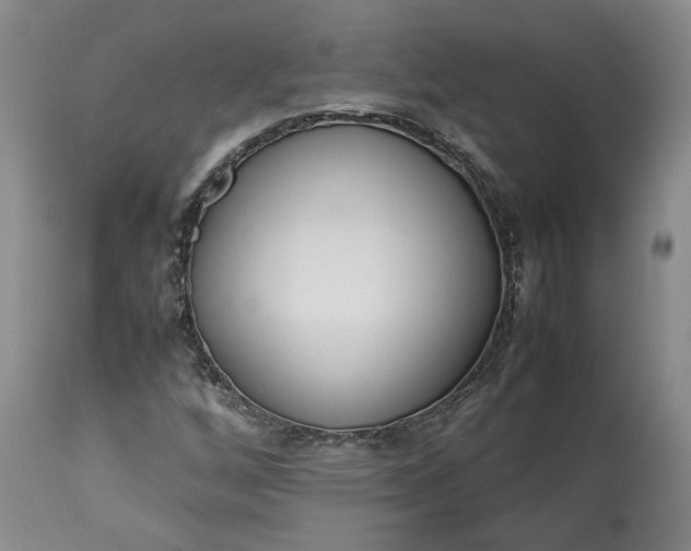 X0000113351256200909291046