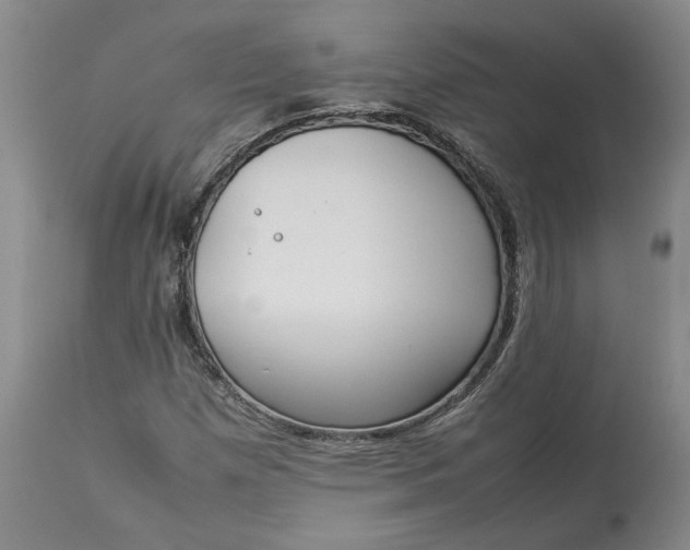 X0000113351257200909291046