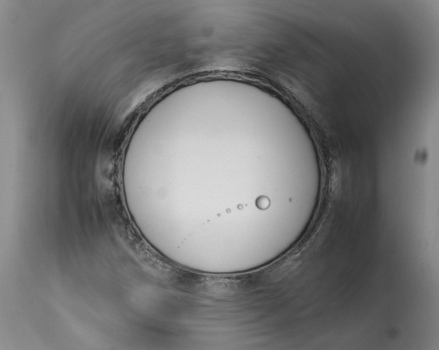 X0000113351258200909291046