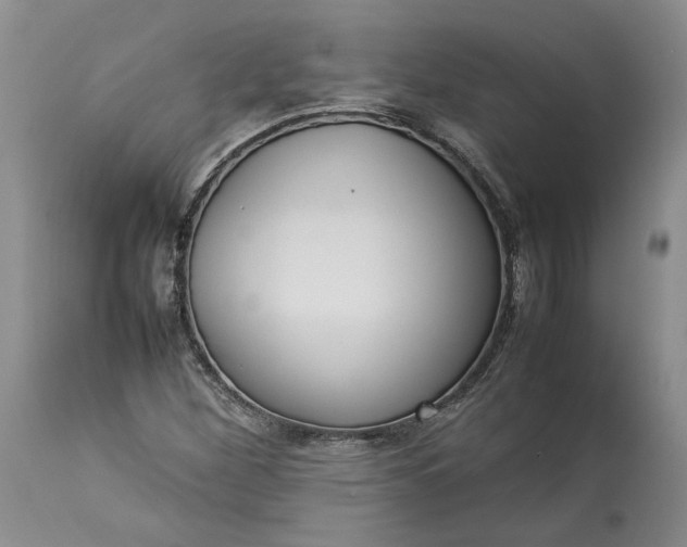 X0000113351260200909291046
