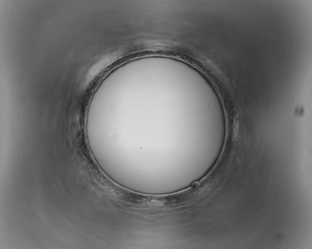 X0000113351261200909291046