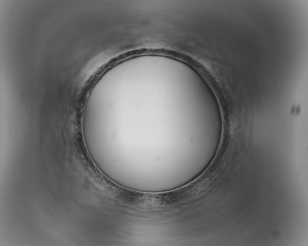 X0000113351263200909291046