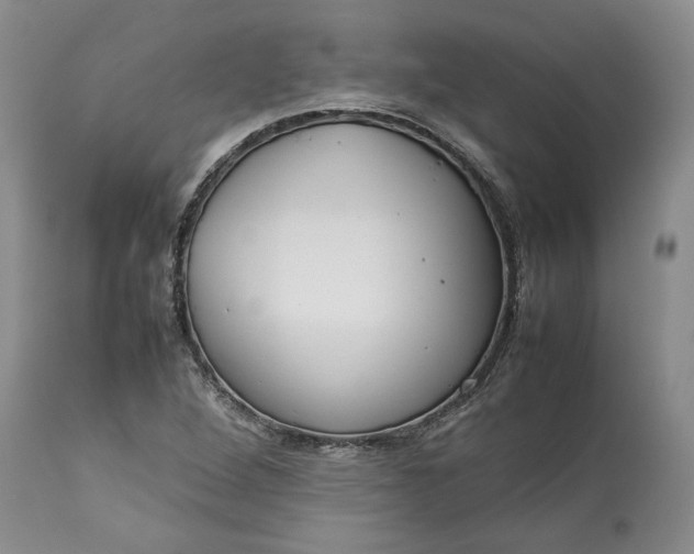 X0000113351264200909291046