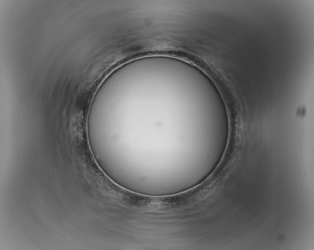 X0000113351265200909291046