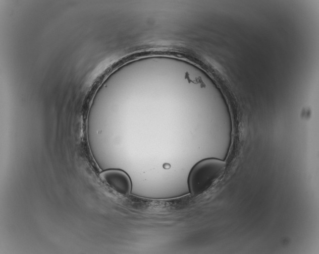 X0000113351267200909291046